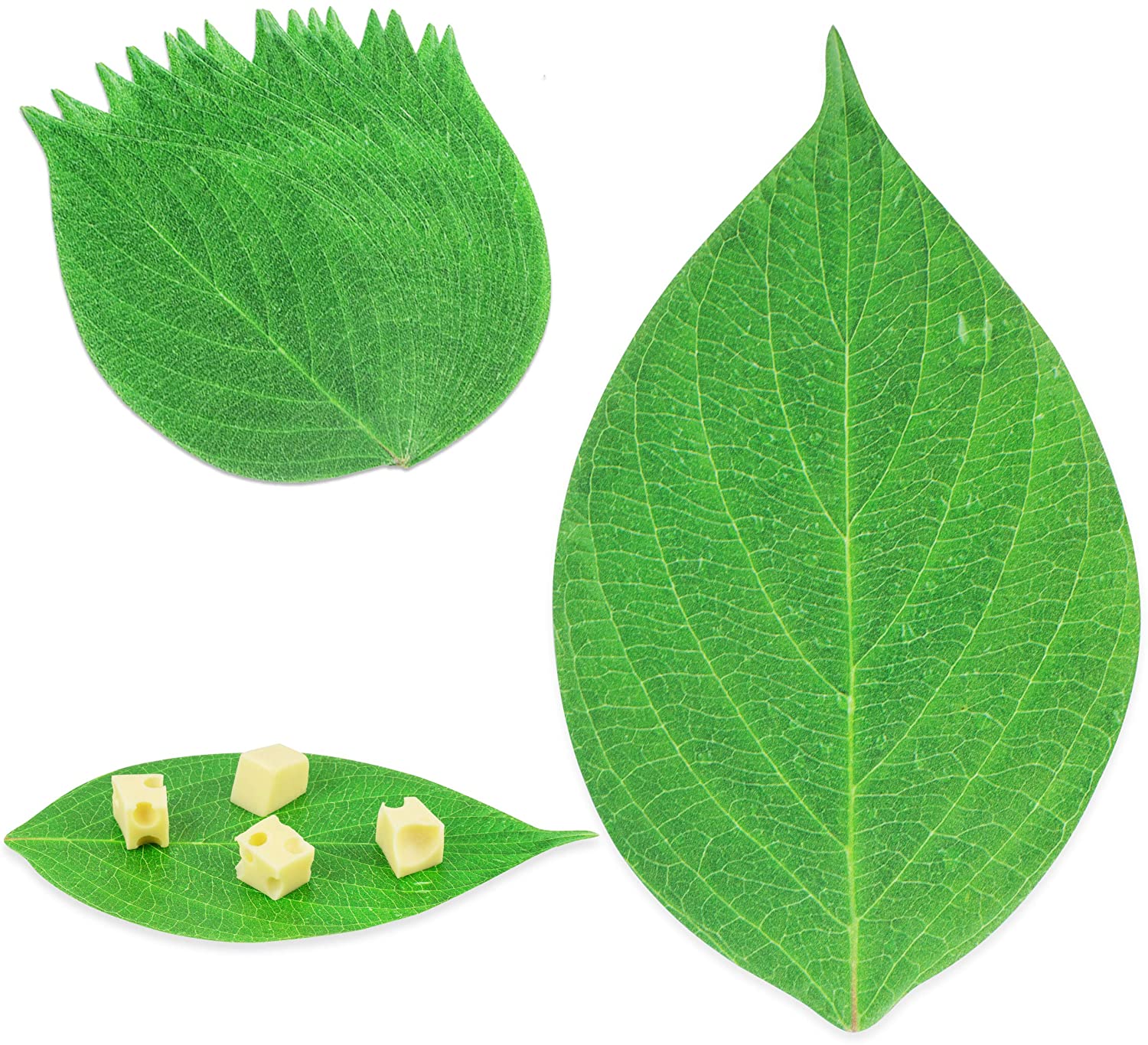 Price:$14.95 Pack] Leaf Cheese Paper for Charcuterie Boards - 11.6 x 6.8” Cheeseboard Accessories, Disposable Grease Resistant Decorative Parchment Sheets in Serving Tray, Crackers, Fruits, Sushi Meat Platter: Cheese Plates
