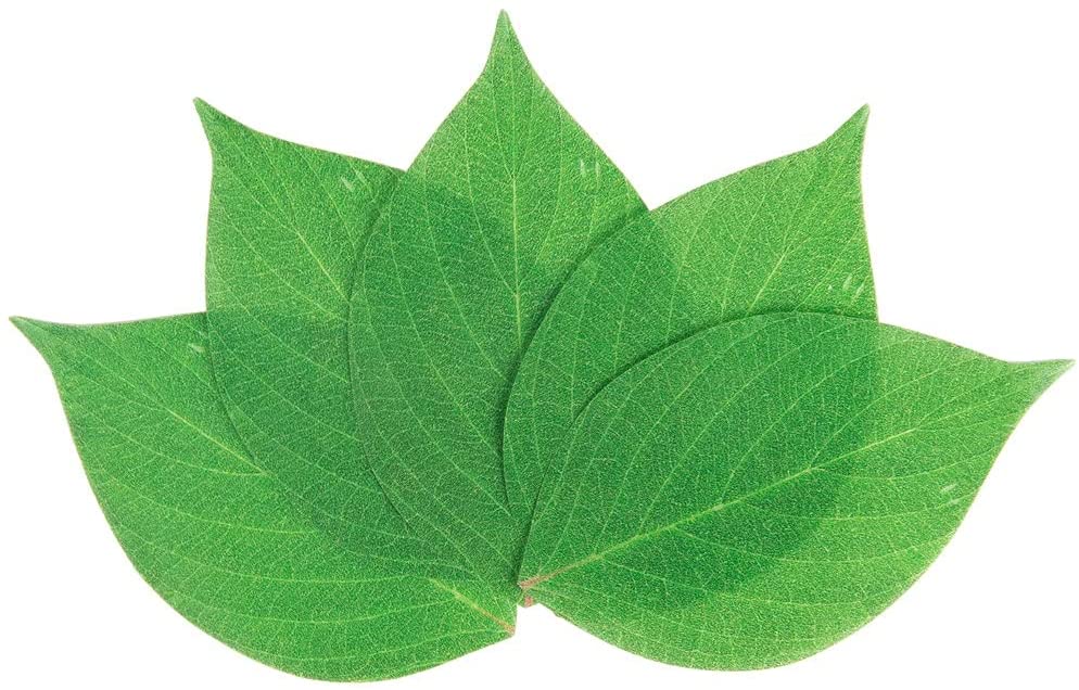 Price:$14.99 Resistant Leaf Cheese Paper, Disposable Cheese Board Paper, Package of 10 - Medium 7": Cheese Plates