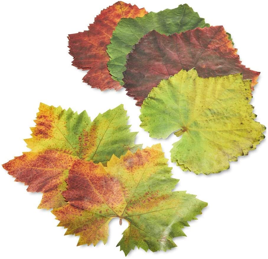Price:$12.99 Distributions Parchment Grape Leaves Plate & Table Decoration 20-leaves French Tradition Decor: Home & Kitchen