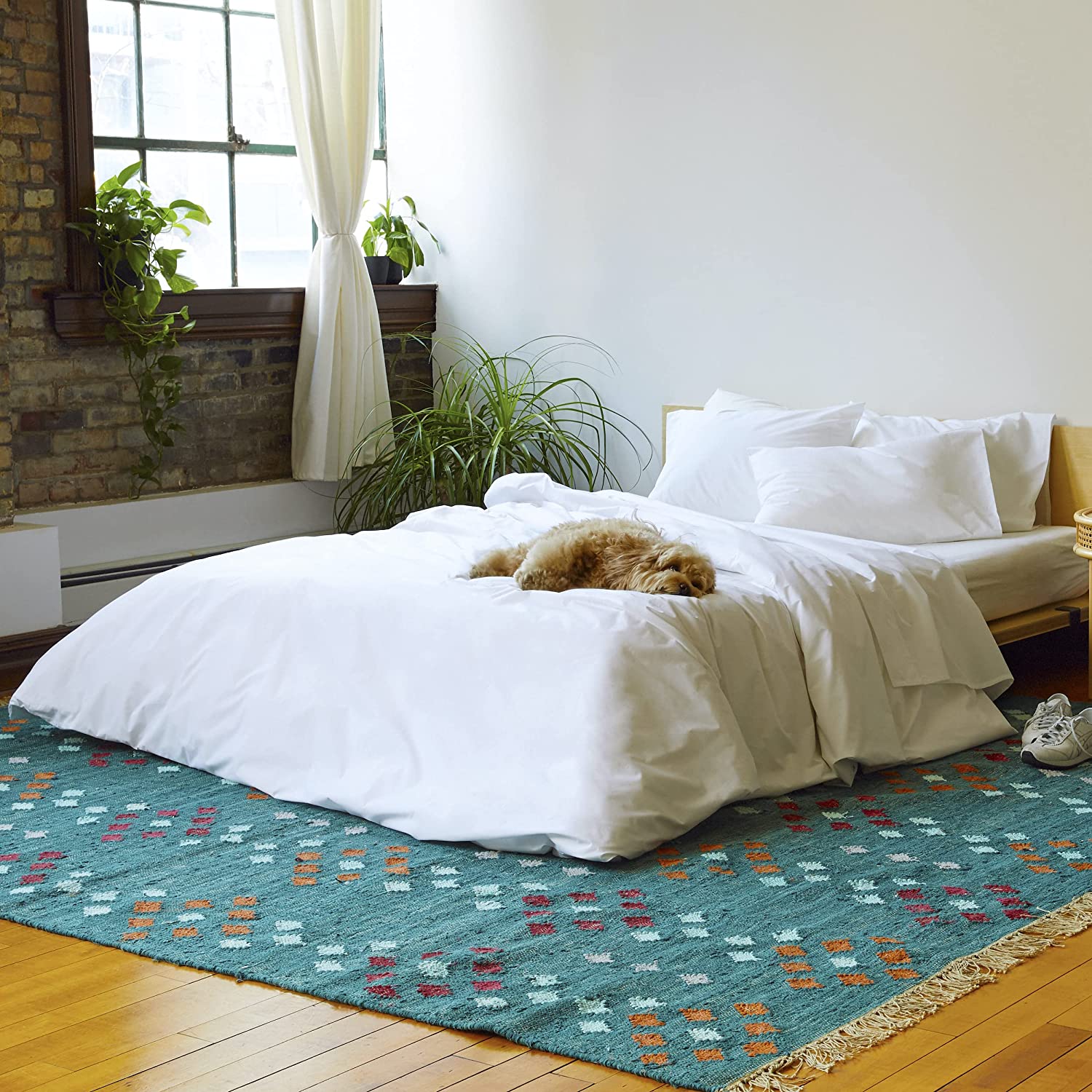 Price:$240.00 Luxe Twin Sheets Set + Duvet Cover, Solid White - 7 Piece Set (1 Duvet Cover, 1 Fitted Sheet, 1 Flat Sheet + 4 Pillowcases) : Home & Kitchen