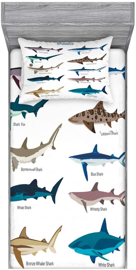 Price:$37.99 Shark Fitted Sheet & Pillow Sham Set, Types of Sharks Pattern Whaler Piked Dogfish Whlae Shark Maritime Design Nautical, Decorative Printed 2 Piece Bedding Decor Set, Twinxl, Blue Tan : Home & Kitchen