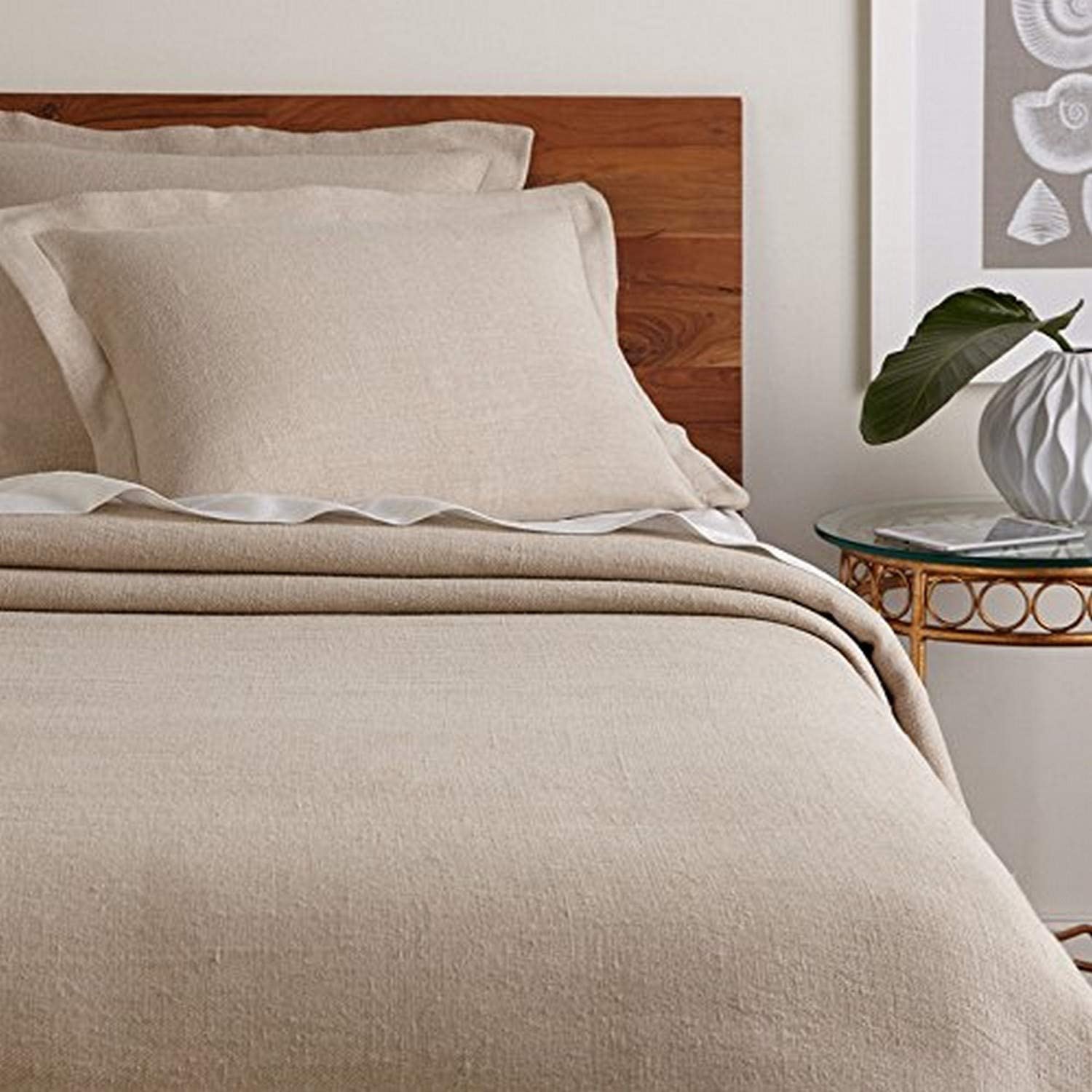 Price:$139.05 Home Pam Safari Queen Duvet Cover Set, 3 Piece : Home & Kitchen