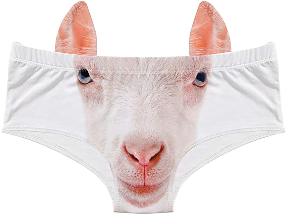 Price:$9.95 and Dog Boy Shorts Panties with Ears for Pet Lovers - Sexy Funny Novelty Women's 3D Printed Cheeky Hipster Underwear… at Amazon Women’s Clothing store