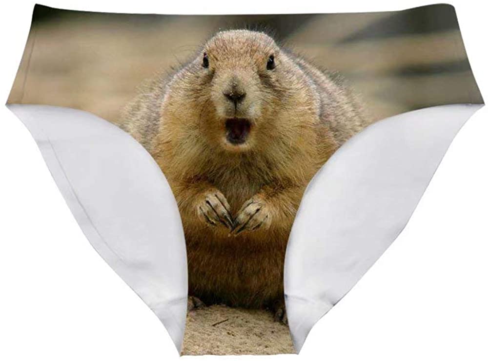 Price:$8.74 Flowers Sexy Women Fun Sexy 3D Printed Panty Briefs Underwear Hipster for Bachelor Party Gift at Amazon Women’s Clothing store