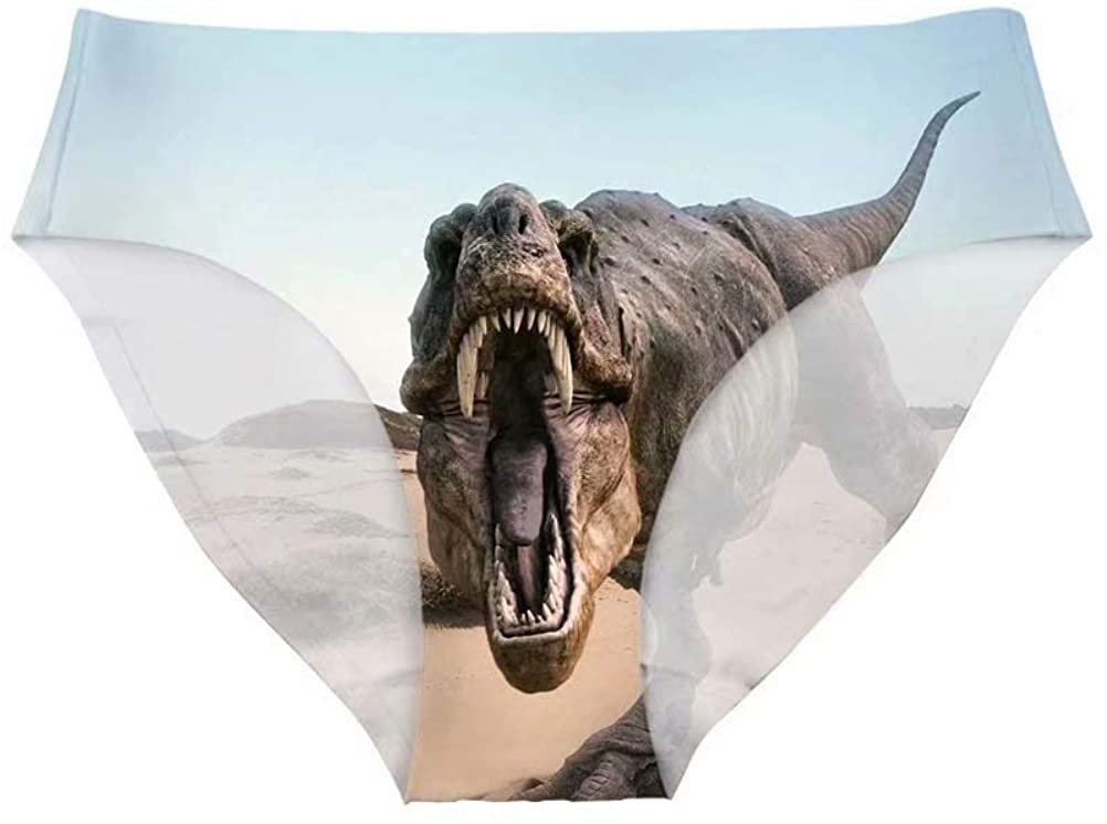 Price:$9.99 Women's Funny Underwear Briefs Animal Print Breathable Comfortable Hipster Panty for Gag Gift at Amazon Women’s Clothing store