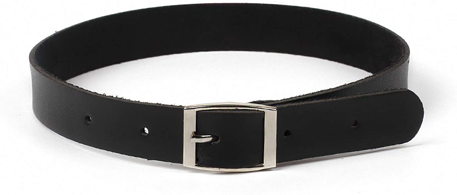 Price:$11.99 Necklace Trendy Punk PU Leather Choker Sexy Gothic Black Choker Necklace for Women: Clothing, Shoes & Jewelry